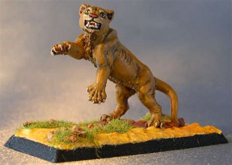 Lioness 2025
